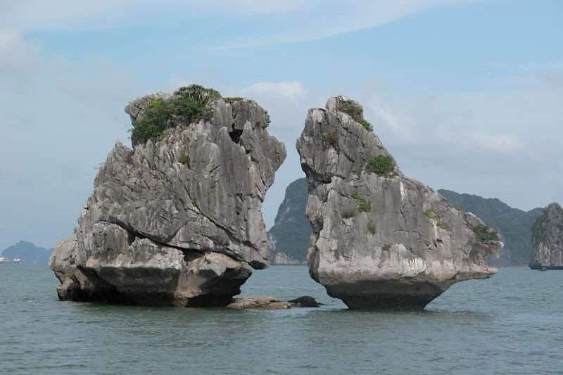 Famous vietnam tour operator in madurai